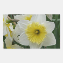 daffodil rectangular stickers