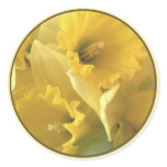 daffodil seal round sticker