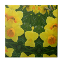 Daffodil Symmetry May 2013 Tile