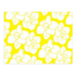 Daffodil Wallpaper Post Card