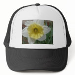 daffodil,white and yellow daffodil hats