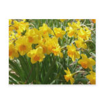 daffodile yellow postcard