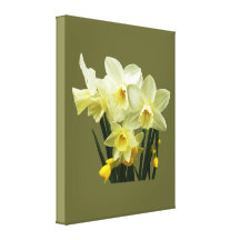 Daffodils and Buds Gallery Wrap Canvas