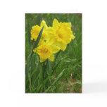 Daffodils Card