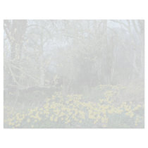 Daffodils  flowers letterhead design