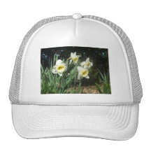 Daffodils Hat