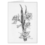 Daffodils in pencil greeting card