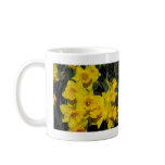 daffodils in spring time 2 mugs