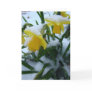 DAFFODILS IN THE SNOW CARD