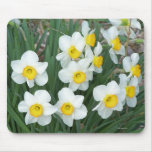 Daffodils Mousepad