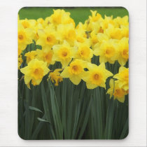 Daffodils Mousepad