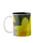 Daffodils Coffee Mug