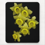 Daffodils On Black Mouse Pads