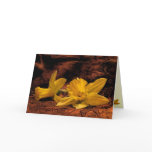 Daffodils on Fabric Birthday Card