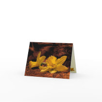 Daffodils on Fabric Thank You