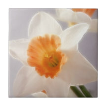 Daffodils Ceramic Tiles
