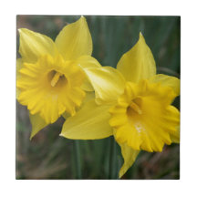 daffodils tile