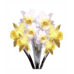Daffodils t-shirts