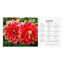 Dahlia 2012 Calendar Photo Card