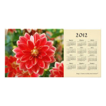 Dahlia 2012 Calendar Photo Card