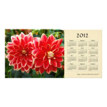 Dahlia 2012 Calendar Photo Card