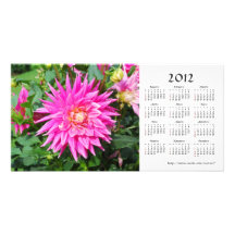 Dahlia 2012 Calendar Photo Card