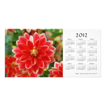 Dahlia 2012 Calendar Photo Card