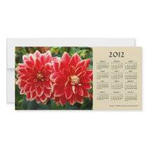 Dahlia 2012 Calendar Photo Card