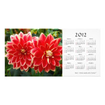 Dahlia 2012 Calendar Photo Card