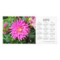 Dahlia 2012 Calendar Photo Card