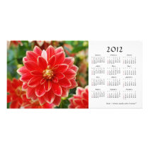 Dahlia 2012 Calendar Photo Card