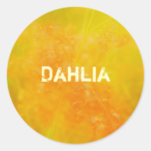 Dahlia Autocollants