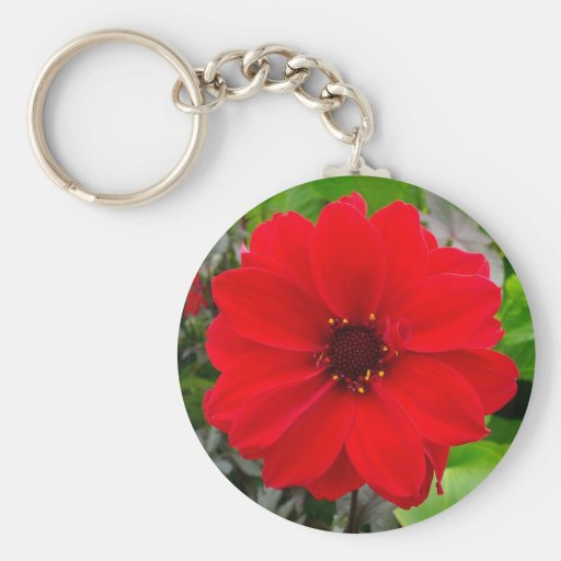 Dahlia - Bishop of Llandaff Keychains