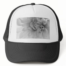 Dahlia Black & White Macro