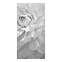 Dahlia Bloom in Black & White Photo Card Template