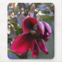 Dahlia Bud 19 ~ mousepad