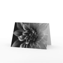 Dahlia Card