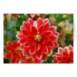 Dahlia Card
