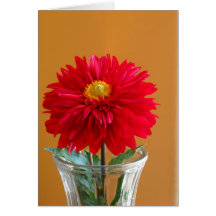 Dahlia Cartes