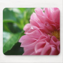 Dahlia couvert de rosée tapis de souris