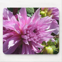 Dahlia et bourgeons tapis de souris