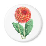 Dahlia, Flambeau Refrigerator Magnet