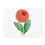 Dahlia, Flambeau Post Cards