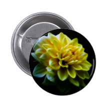 Dahlia flower and meaning pin