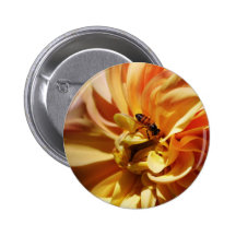Dahlia flower and meaning pins