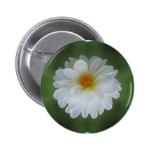 Dahlia flower and meaning pins
