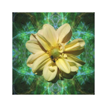 Dahlia flower and meaning stretched canvas prints