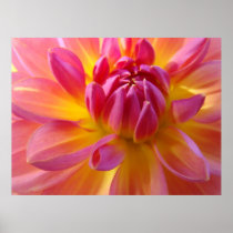 DAHLIA FLOWER Art Print Beautiful Floral Wall Art
