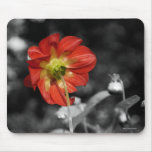 Dahlia from behind Mousepad