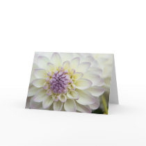 Dahlia Greeting Card | Grusskarte Dahlie